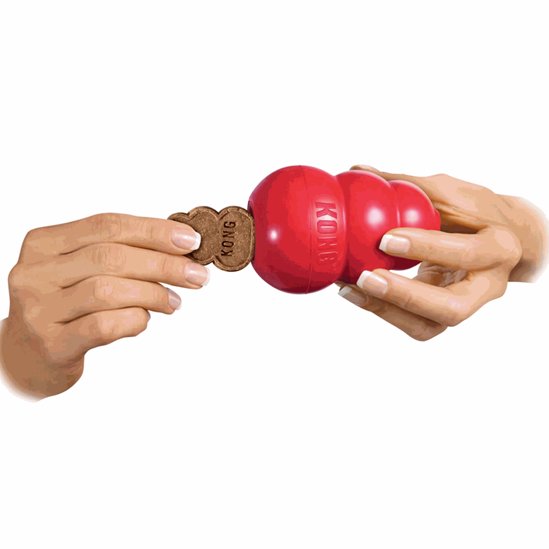 Jouet kong avec récompense 