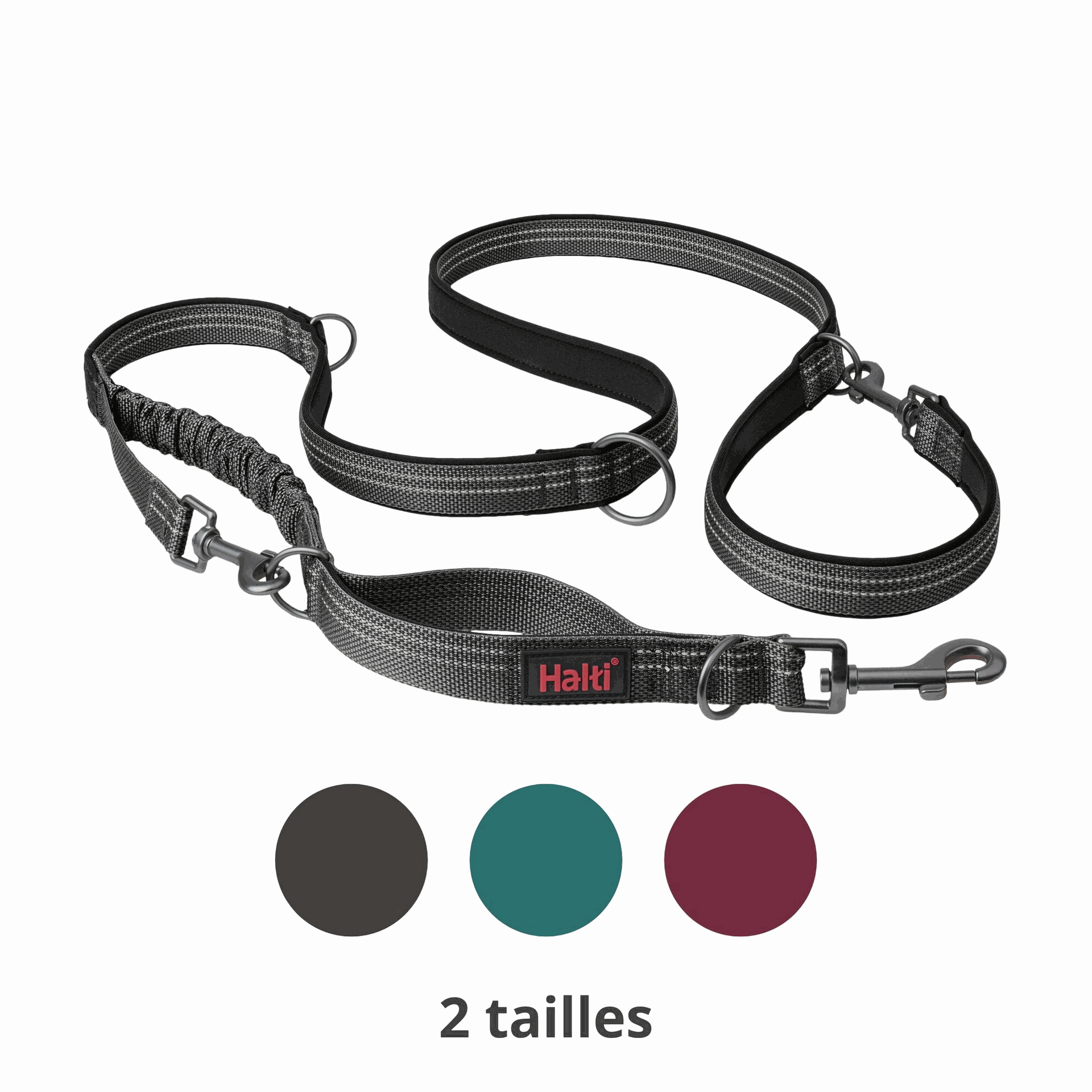 laisse halti trois position