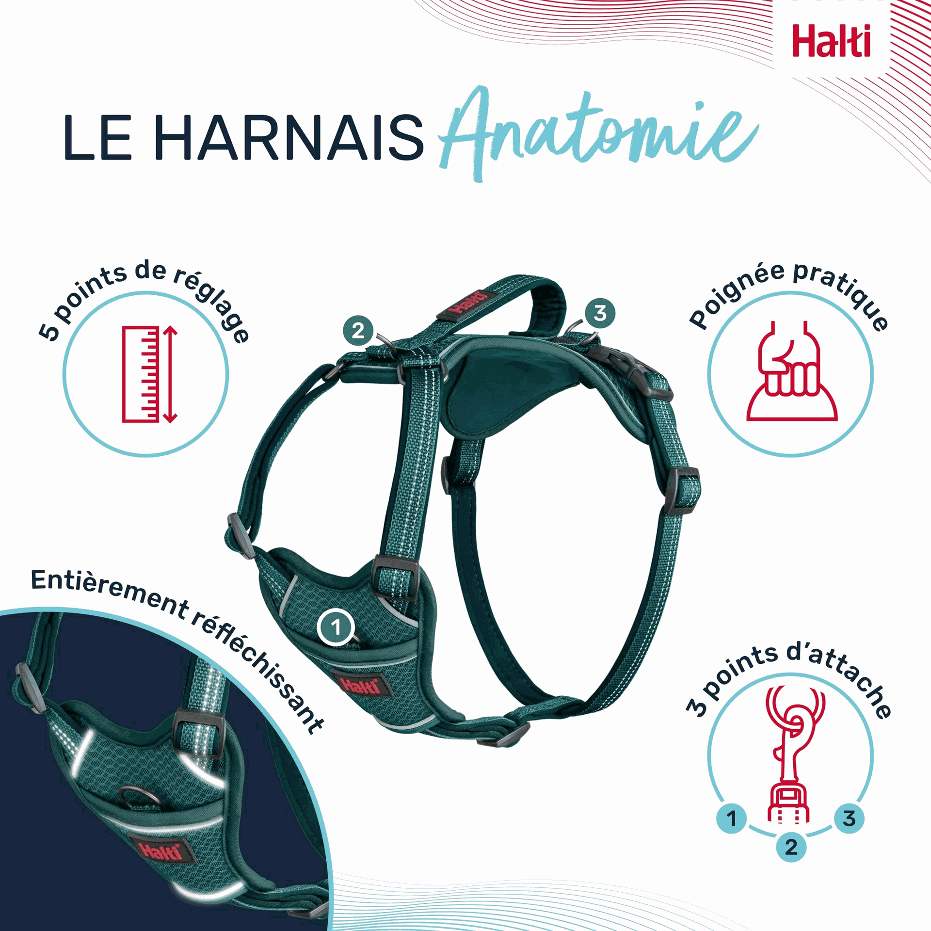 harnais halit à trois positions