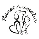 Voyager avec son Animal : De la Balade au Voyage en Avion