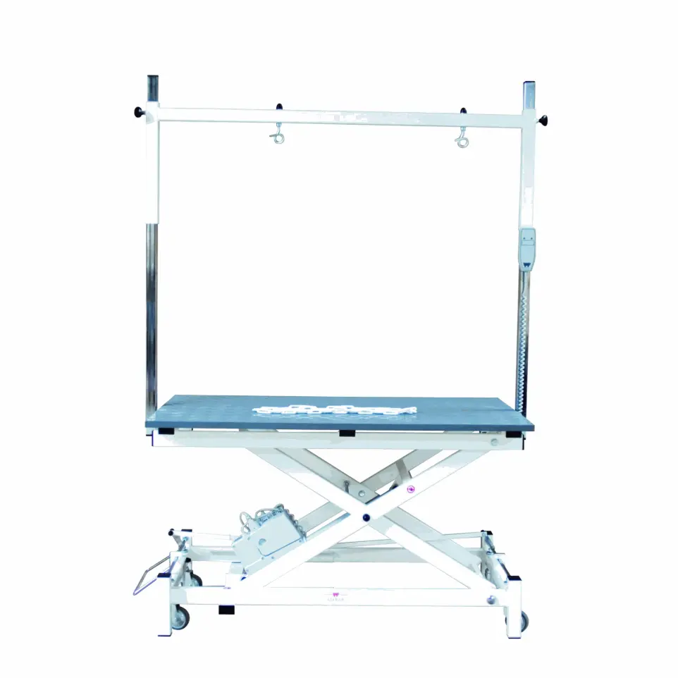 [A0031] Table toilettage électrique Stabilo Super New potence double
