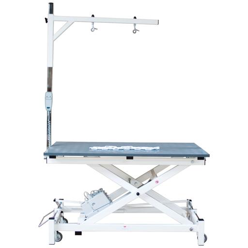 [A0033] Table toilettage électrique Stabilo Super New potence simple