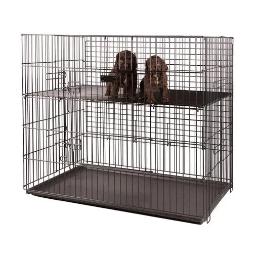 [A0565] Cage d'exposition taille M
