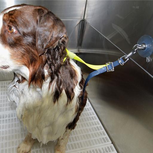 Sangle de toilettage avec ventouse : Grand modèle -  Jaune
