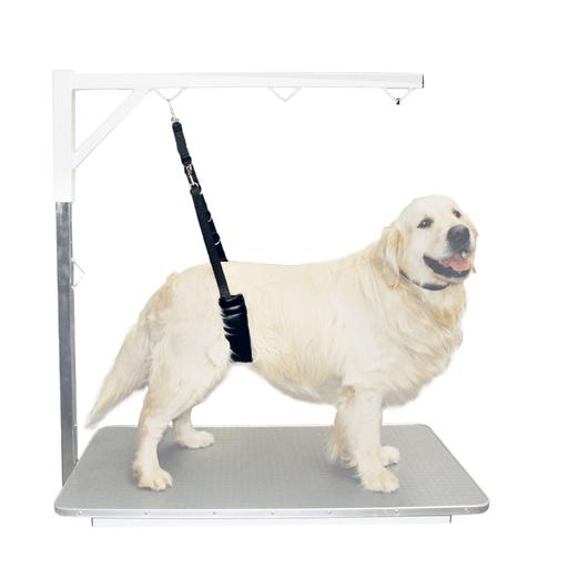 [A0711] Sangle de toilettage ventrale confort : Grand Chien