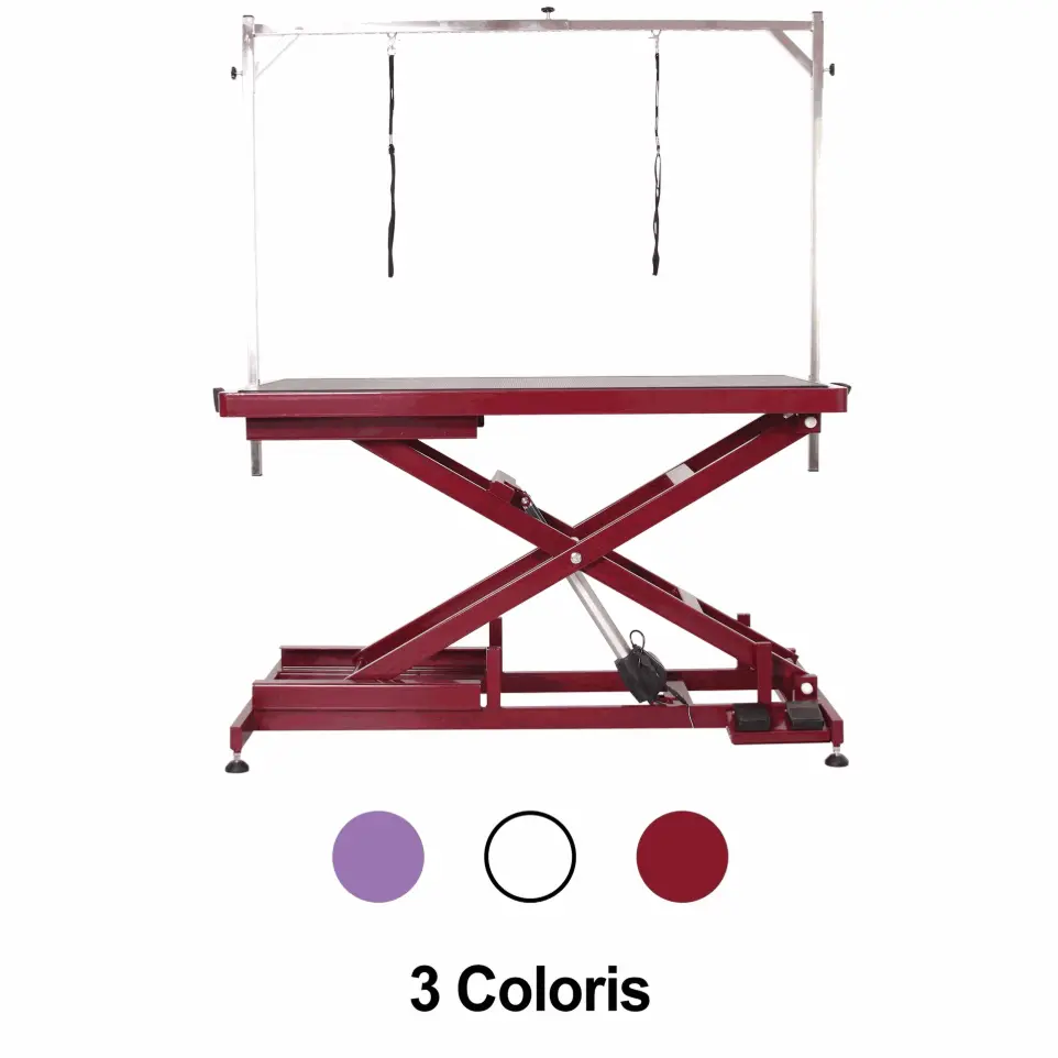 [A0874] Table de toilettage Callisto avec double commande : pied et main