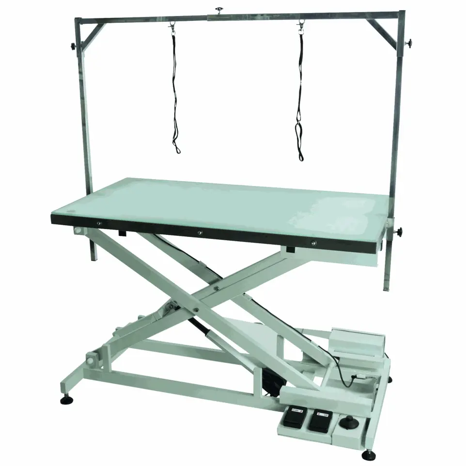 [A0879] Table de toilettage Phoenix Callisto lumineuse