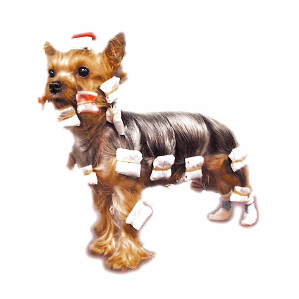 Papillotes pour chien Couleur : Blanc