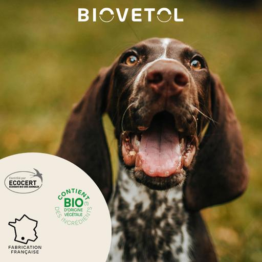 Pipettes antiparasitaires chien BIOVETOL : chien moyen