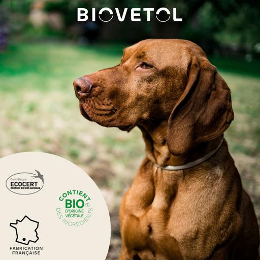 Pipettes antiparasitaires chien BIOVETOL : grand chien