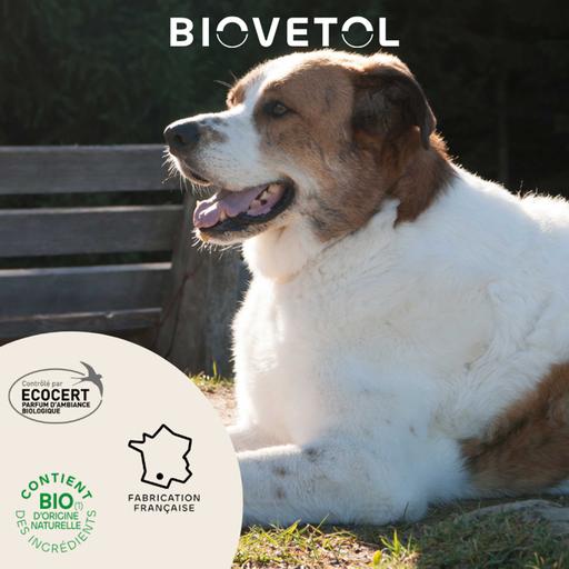 Lotion Destruct'urine BIOVETOL : chiot et chien