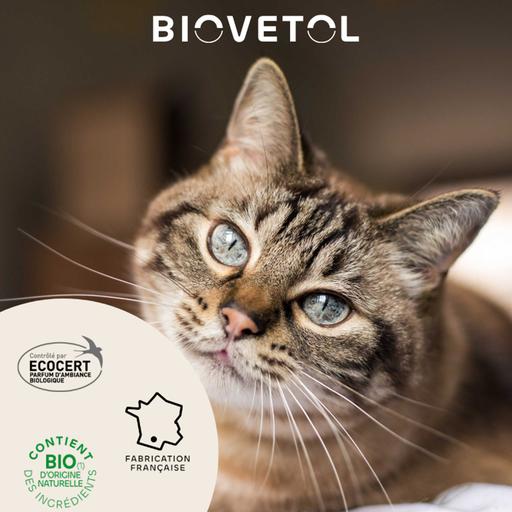 Lotion Destruct'urine BIOVETOL : chaton et chat