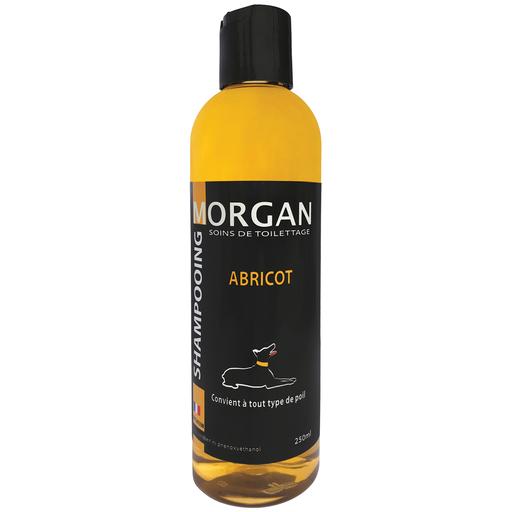 Shampoing protéiné à l'abricot Morgan : 250ml