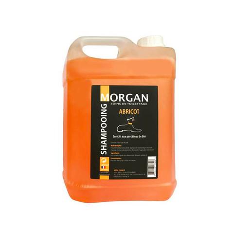 Shampoing protéiné à l'abricot Morgan  : 5 litres