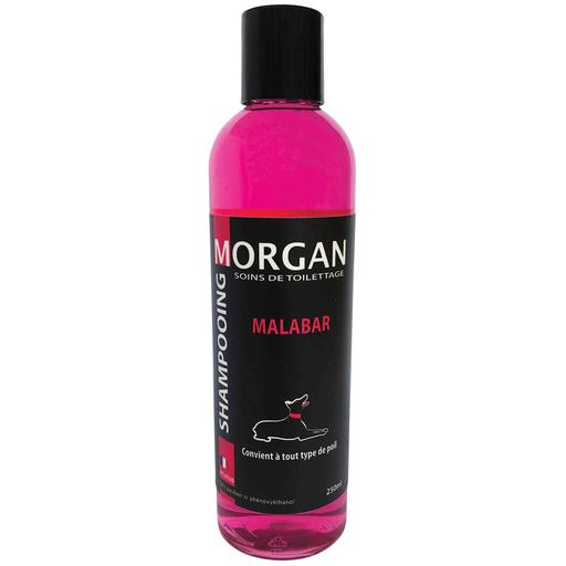 Shampoing protéiné senteur Malabar Morgan : 250ml