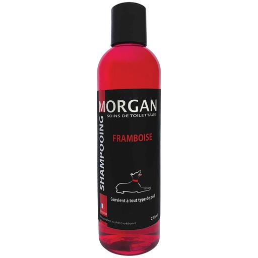 Shampoing protéiné Framboise Morgan  : 250ml