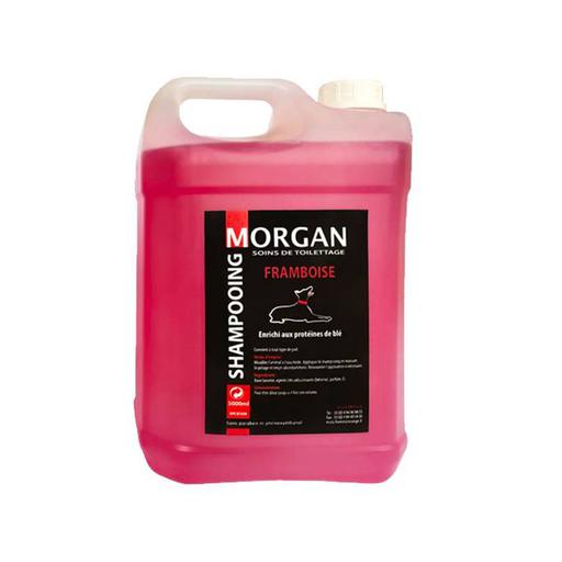 Shampoing protéiné Framboise Morgan : 5 litres