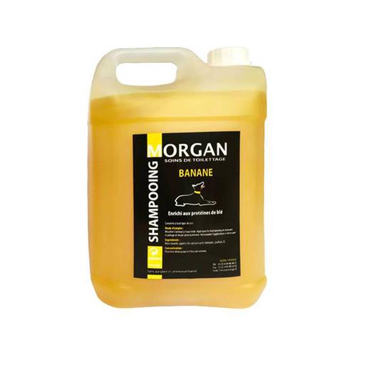 Shampoing protéiné Banane Morgan : 5 litres