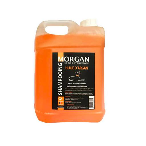 Shampoing à l'huile d'Argan Morgan : 5 litres