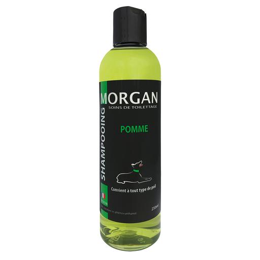 Shampoing  protéiné Pomme Morgan : 250 ml