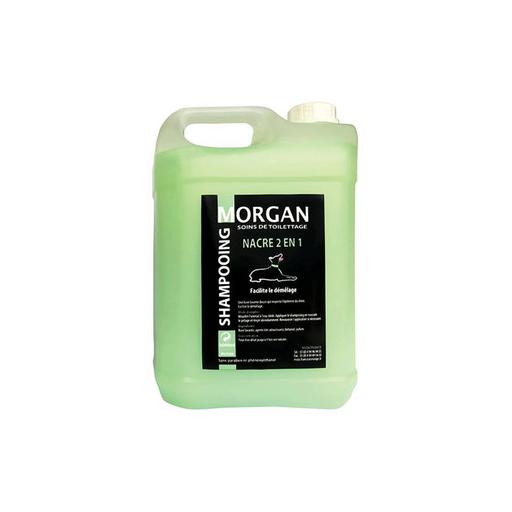 Shampooing protéiné nacre 2 en 1 MORGAN : 5 litres