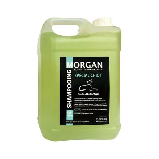 Shampoing chiot à l'huile d'argan Morgan : 5L