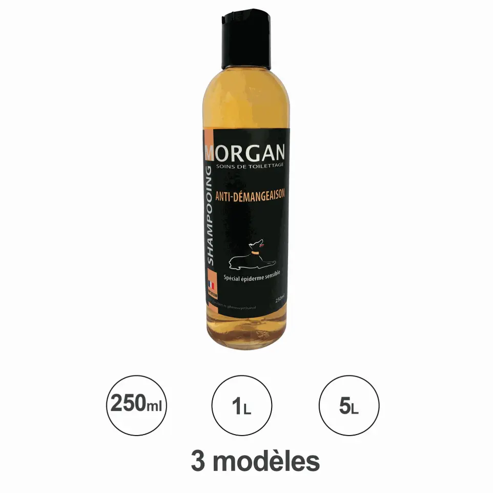 Shampoing anti-démangeaison Morgan : 250ml