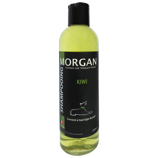 Shampoing protéiné senteur Kiwi Morgan : 250ml