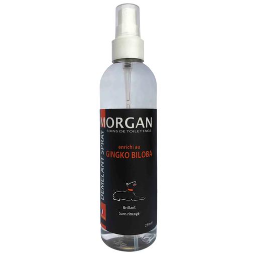 Spray démêlant senteur Ginko Biloba Morgan