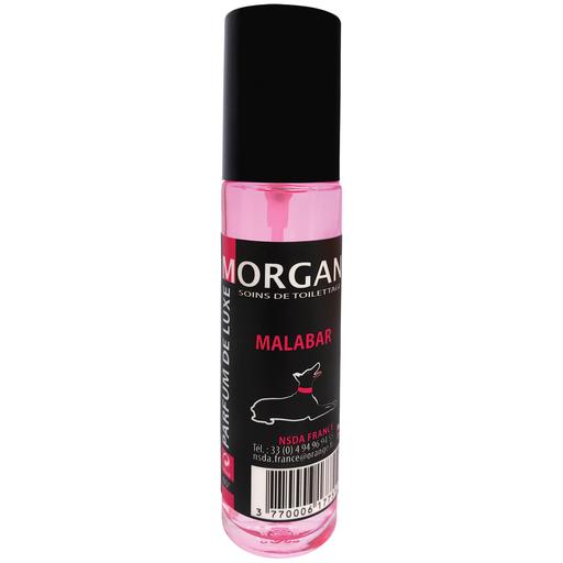Parfum Morgan senteur Malabar : 60ml