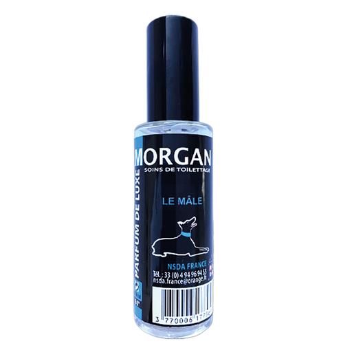 Parfum Morgan Le Mâle : 60ml