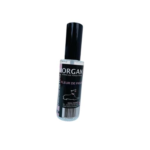 Parfum de luxe fleur de figuier - 60 ml