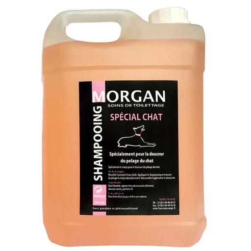Shampooing spécial chat: 5L