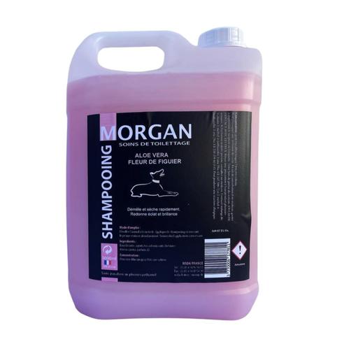 Shampoing Aloe Vera & Fleur de Figuier Morgan - 5L