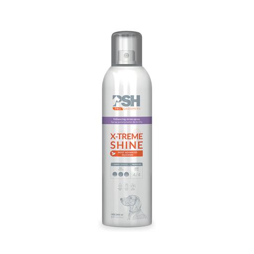 Spray Finition Brillance "X-TREME SHINE" 300 ml