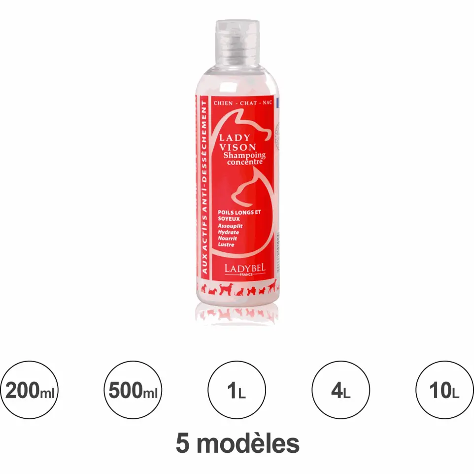 Shampoing Lady Vison : 10L