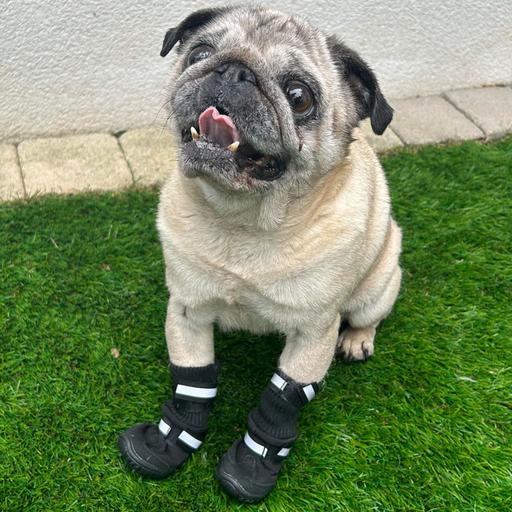 Bottes de protection Doogy Sport : Taille XXS