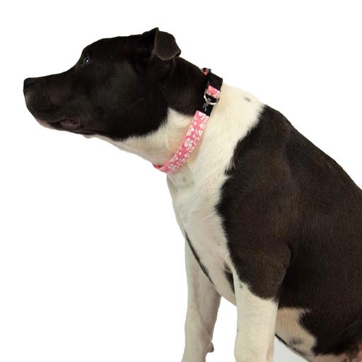 Collier chien Tahiti rose Taille : T1