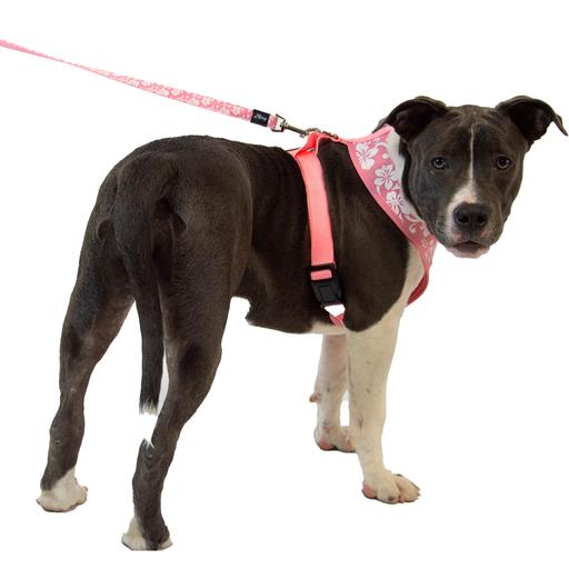 Laisse nylon Tahiti Doogy rose