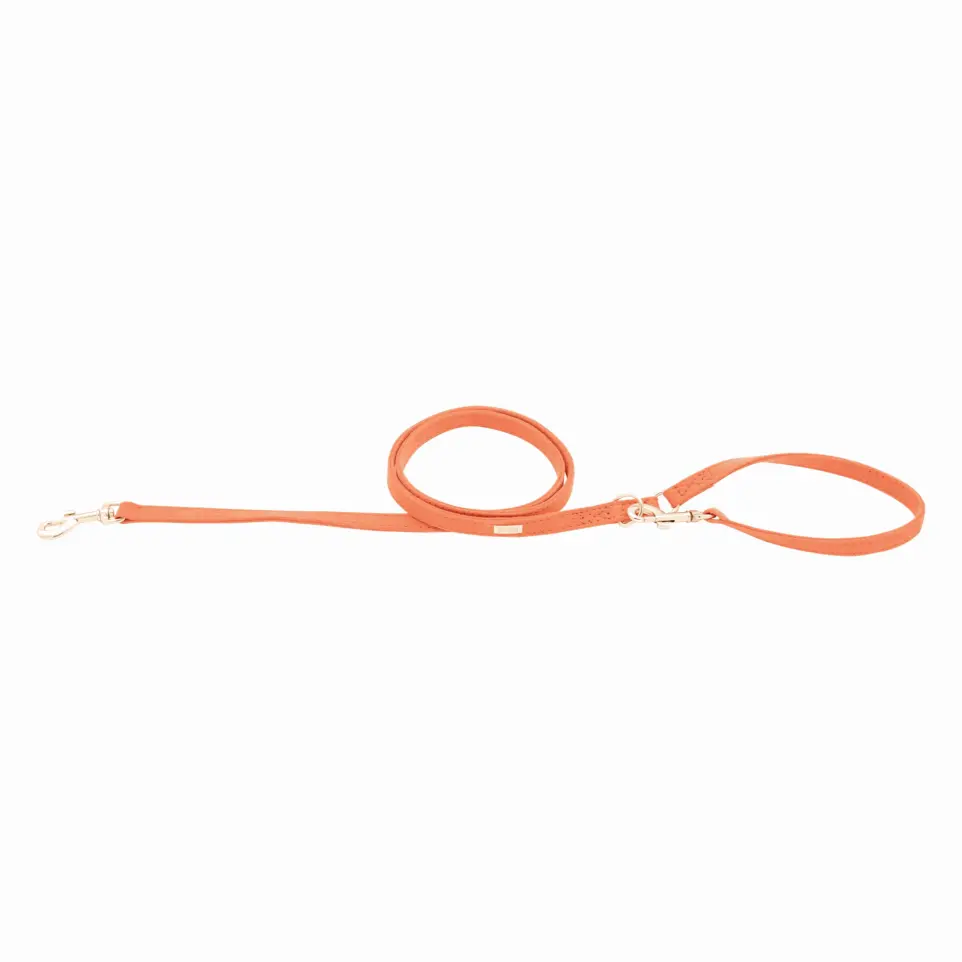 Laisse in love - Orange