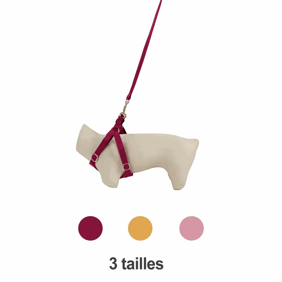 Harnais So Sweety Doggy Rouge Taille : S