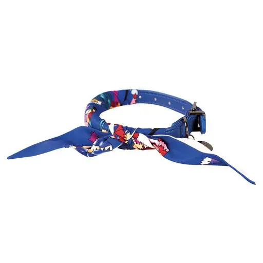 Collier chien So Chic Doogy Glam' Bleu : T35