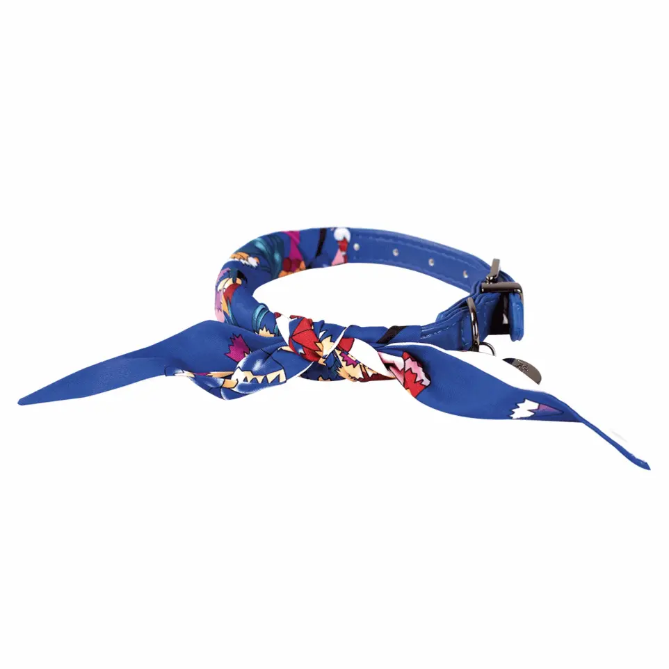 Collier chien So Chic Doogy Glam' Bleu : T40