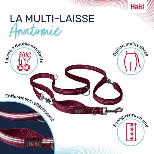 Laisse multi-position Anatomy : Magenta - Taille S