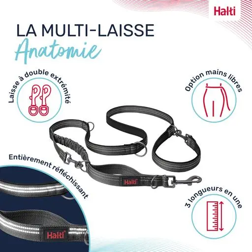Laisse multi-position Anatomy : Gris - Taille L