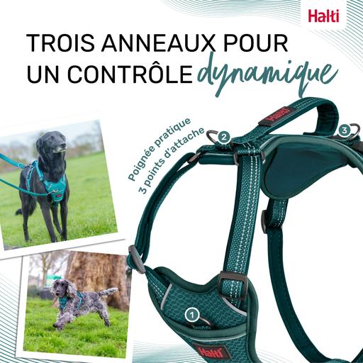 Harnais Anatomy Halti : Vert - Taille XS