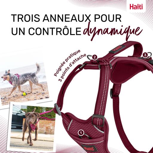Harnais Anatomy Halti : Magenta - Taille XS