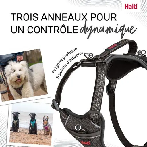 Harnais Anatomy Halti : Gris - Taille S