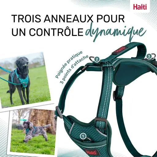 Harnais Anatomy Halti : Vert - Taille L