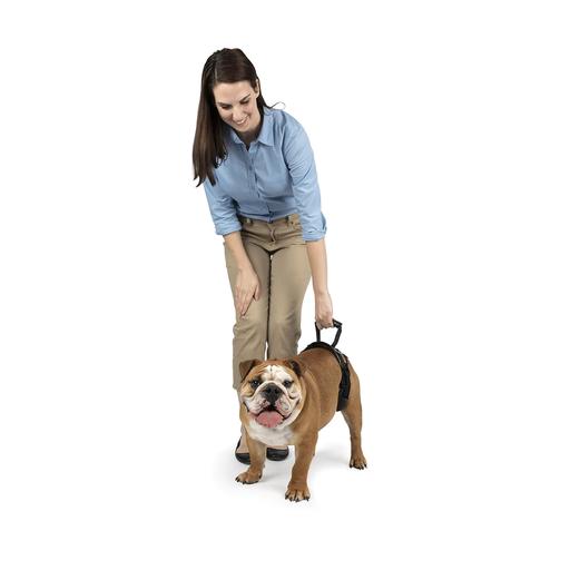 Harnais de levage arrière CareLift MEDIUM